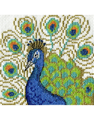 Picture of 'Peacock'